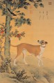 Lang perro amarillo brillante tinta china antigua Giuseppe Castiglione